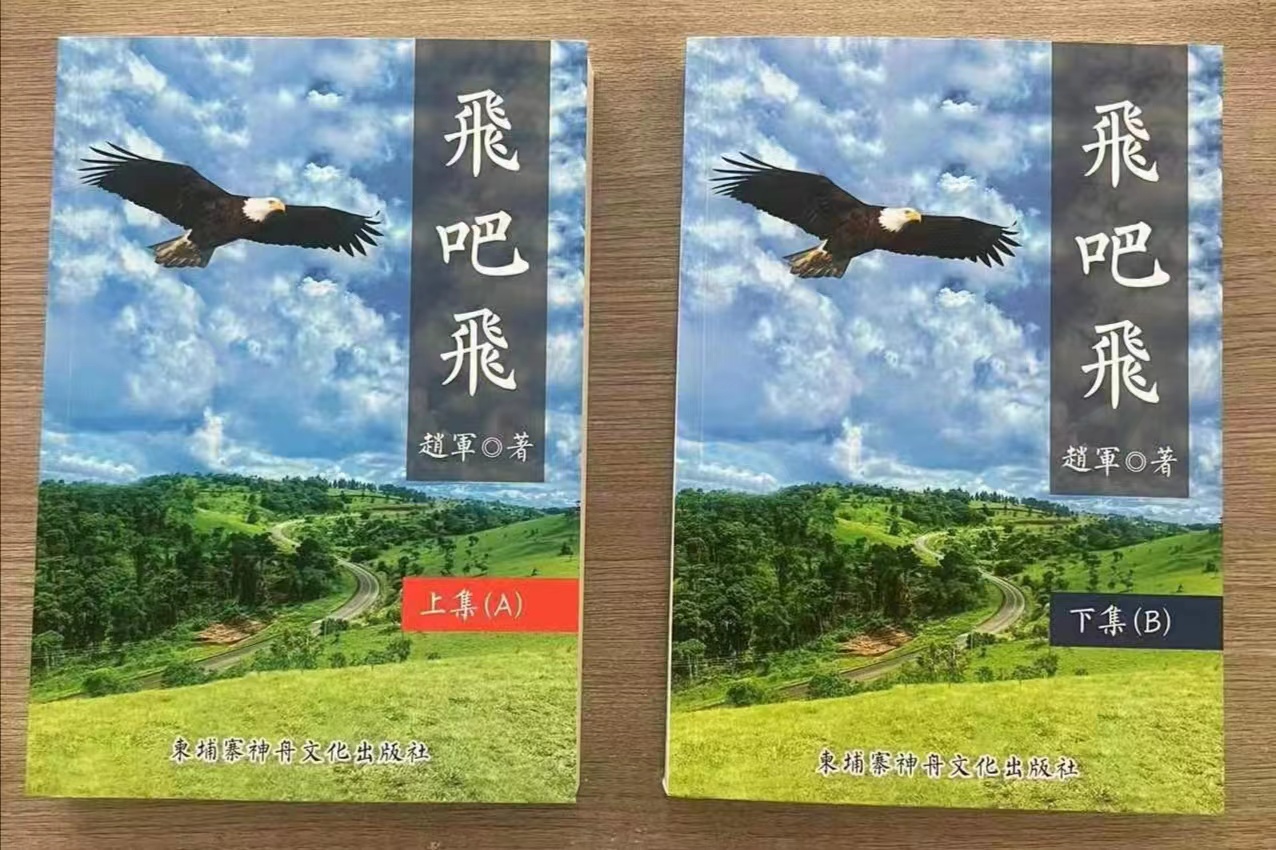 長篇小說《飛吧，飛》封面 （趙軍 著）