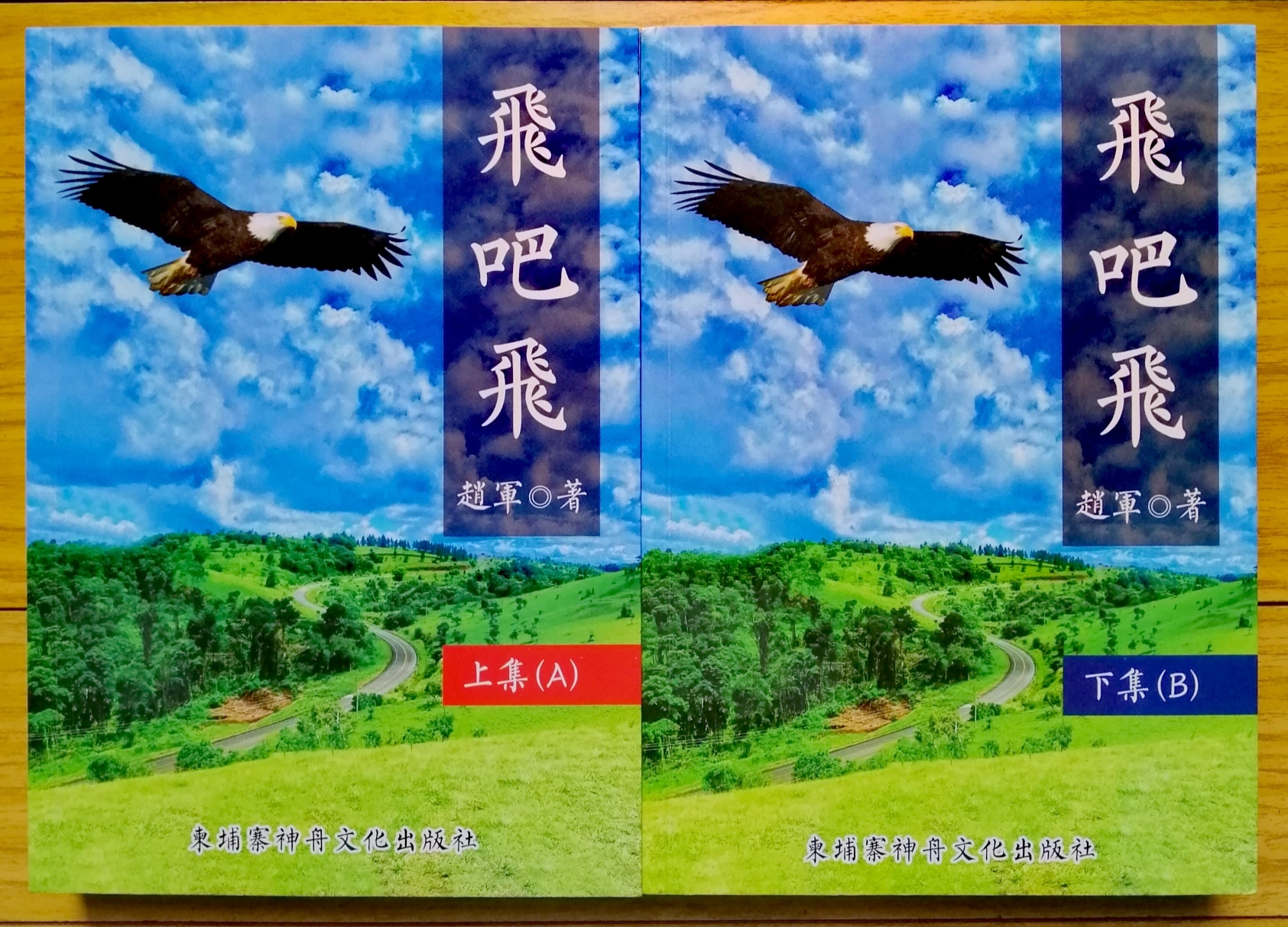 長篇小說《飛吧，飛》封面（趙軍 著）