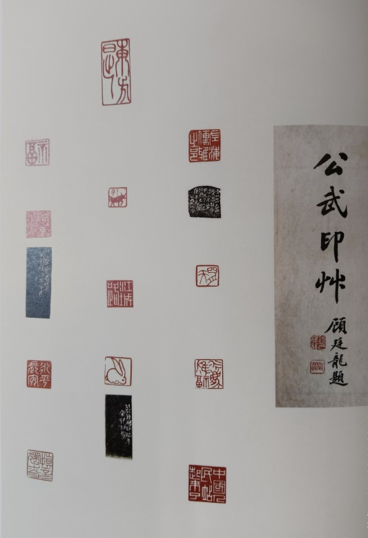 圖片8