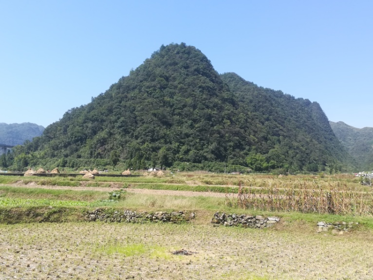 圖片7