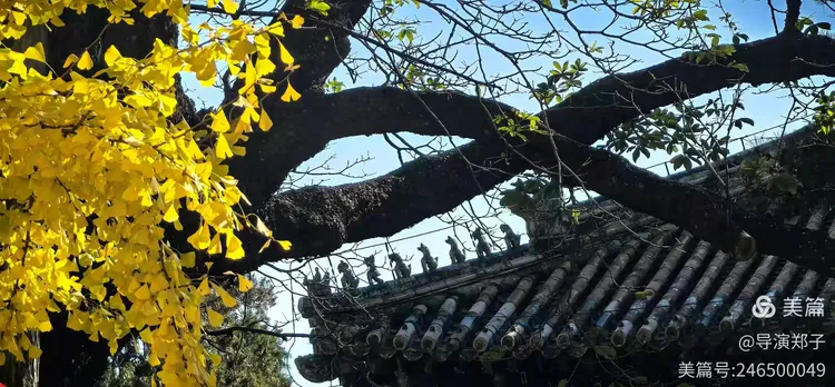 圖片5