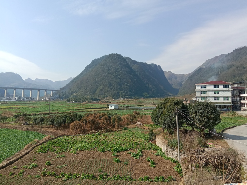 圖片1