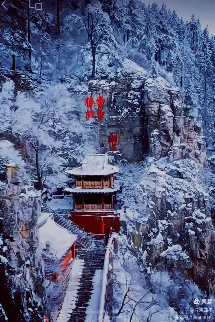 圖片20