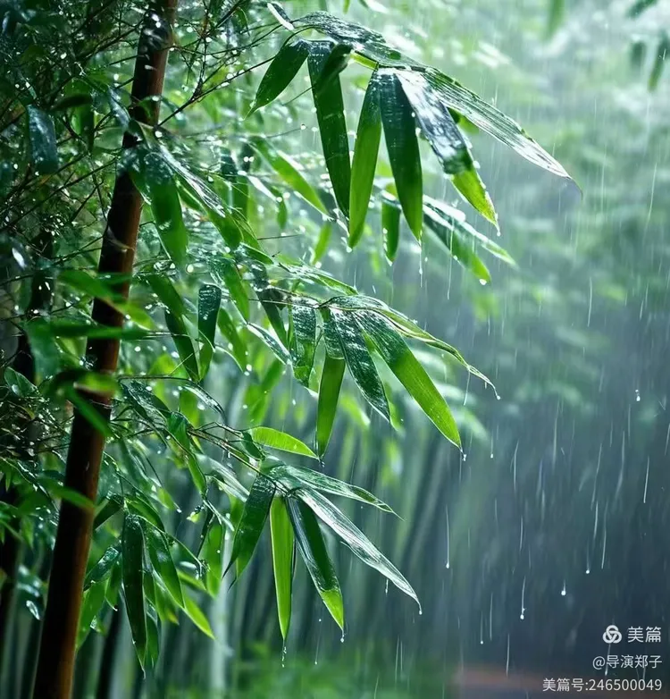 圖片4