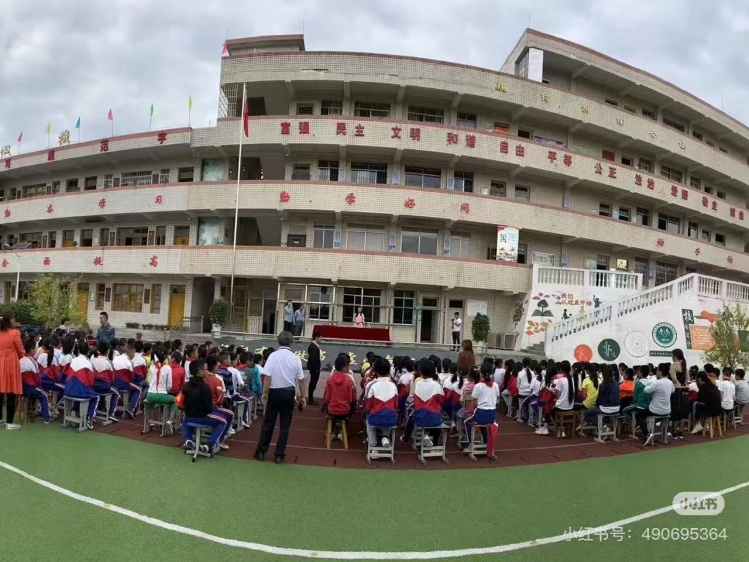 圖片8