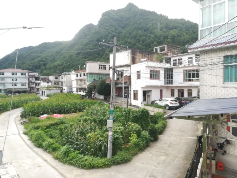 圖片1