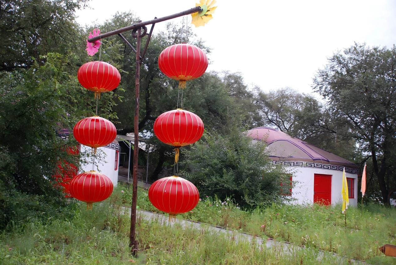 圖片8