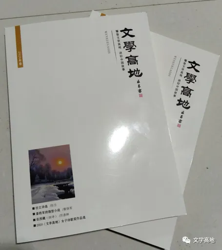圖片4
