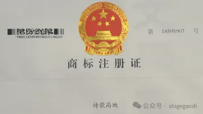 圖片5
