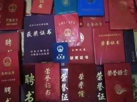 圖片7