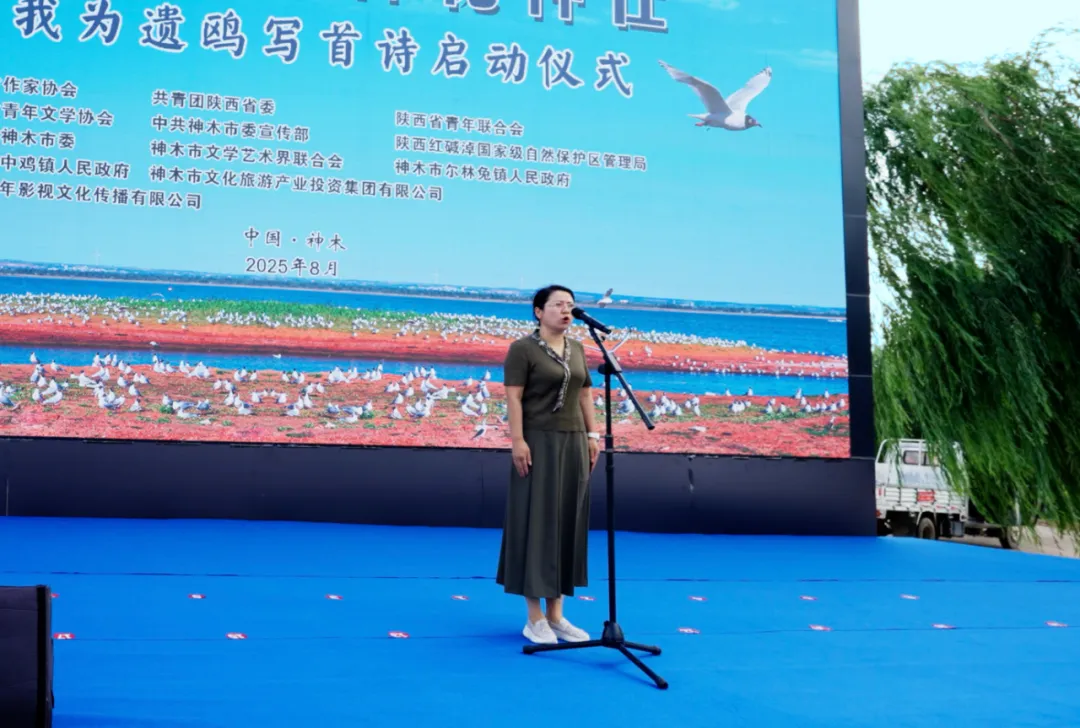 圖片15