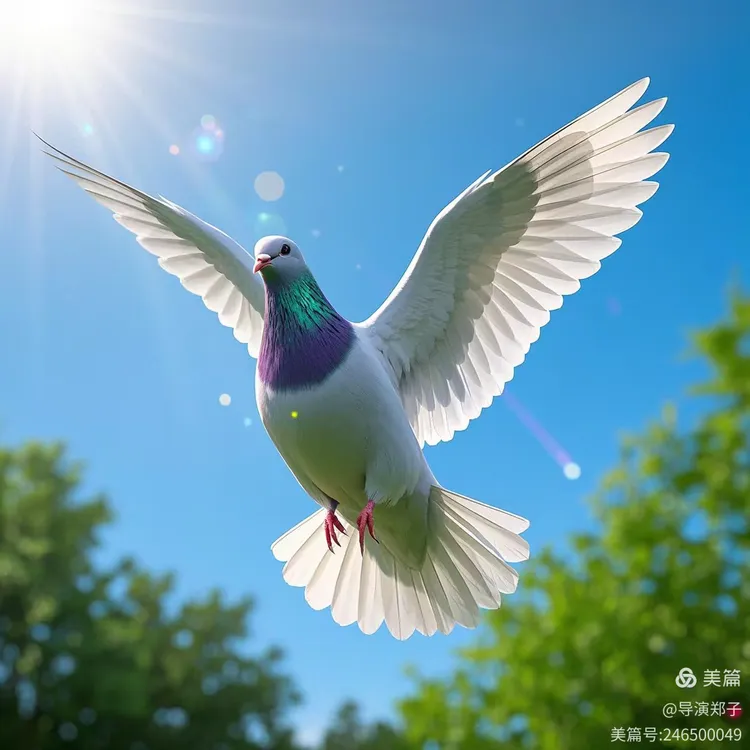 圖片19