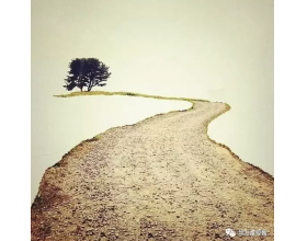 {t.title}